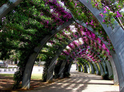 boredpanda:15  Of The World’s Most Magical Streets Shaded By Flowers And Trees