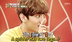 shimporn:  How can a spider have two legs, Changmin..? ಠ_ಠ 