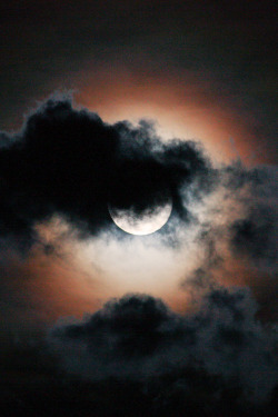 plasmatics-life:  Clouded Moon ~ By Michelle Villarreal Zook