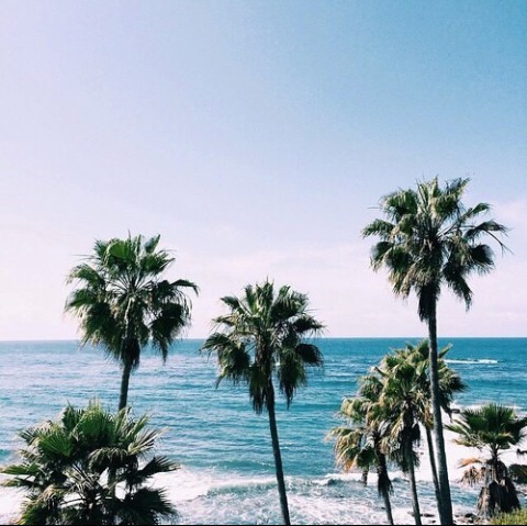 niight-dreamer-world:  Surf❤ on We Heart It - http://weheartit.com/entry/166866824