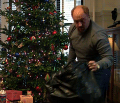 fireflies-and-moonbeam-pies:  How to clean up Christmas Louis CK style.