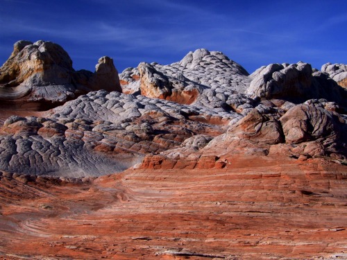 guidedsailor: White Pocket Area looks like another planet.Vermillion Cliffs National Monument, Arizo