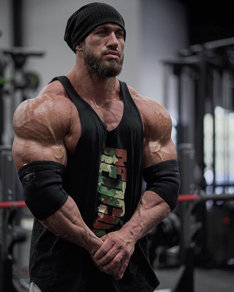 Antoine Vaillant