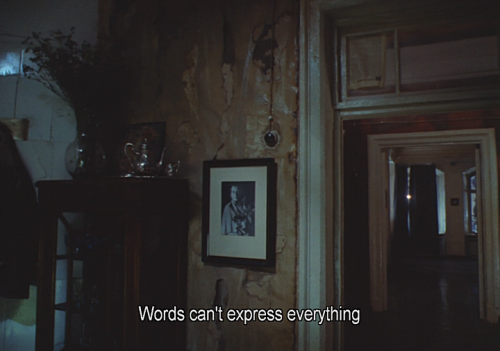 qpulm: The Mirror (Andrei Tarkovsky, 1975)