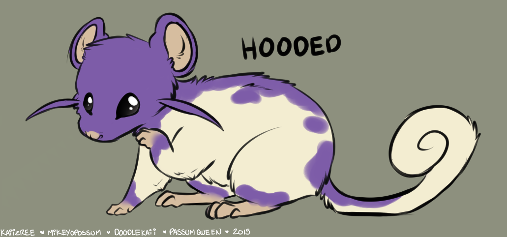 doodlekaii:  Rattata Variations! I hope they havent been done yet…I may expand