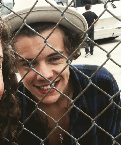 maistyles-blog:  + 