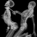 daddy-alpha:craniumsex:^
