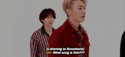 Leeteukies:  When You Forget Your Own Song