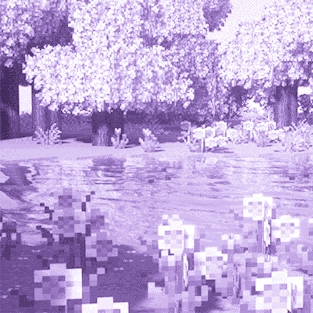 Nonbinary Minecraft