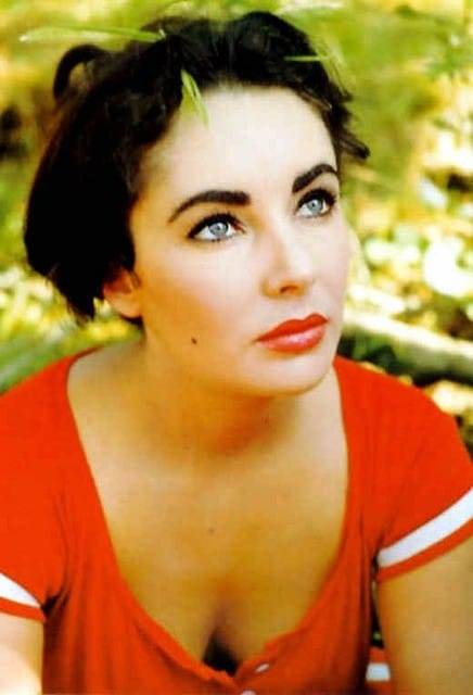 Porn photo Elizabeth Taylor painted-face.com  