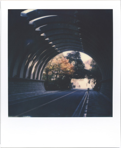 A new light, a new hopeKamakura, JapanPolaroid SLR670-S, Polaroid Originals Color 600