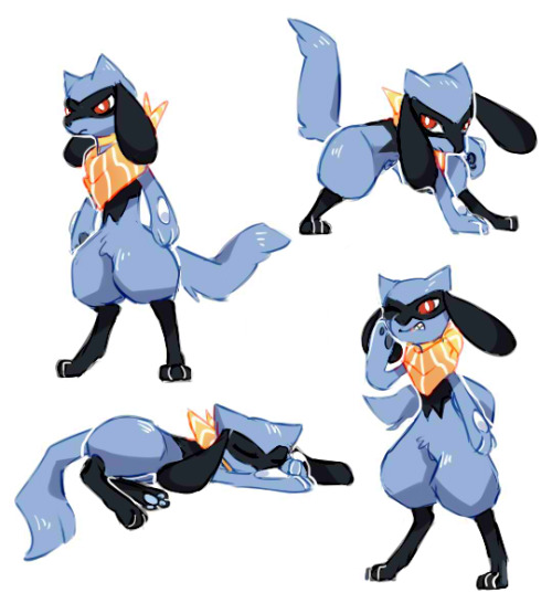 cherrimut:been playing a lot of super mystery dungeon lately! a riolu starter is hard leveling ;_;