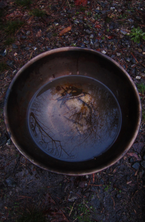 January 2016 - In the rainThis is actually a neat looking bowl thing on a metal stand that looks lik