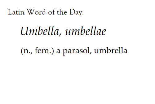 The spelling is odd, but it is entirely intentional.Umbella was created by adding the diminutive suf