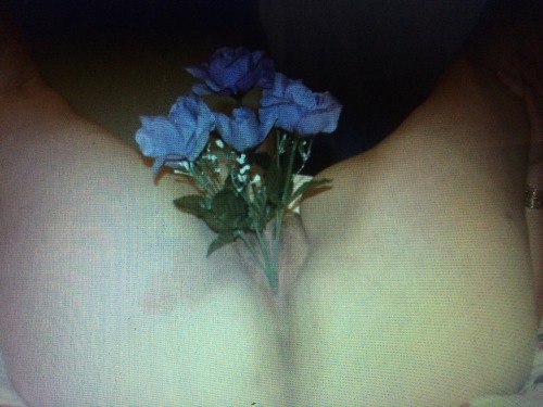 stick-it-inside:  A nice submission, thx