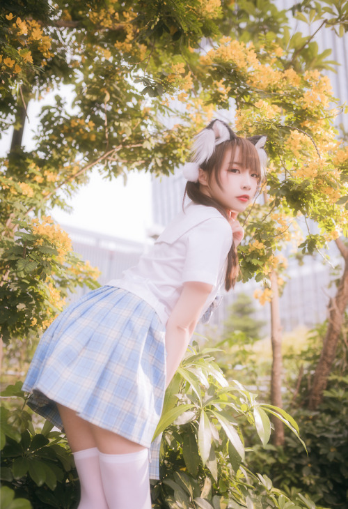 Seifuku