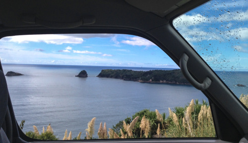 nevver:Never get out of the car, Vanscapes by Alison Turner