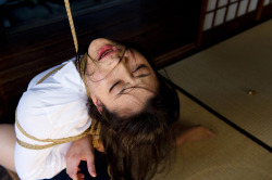 The Art Of Kinbaku