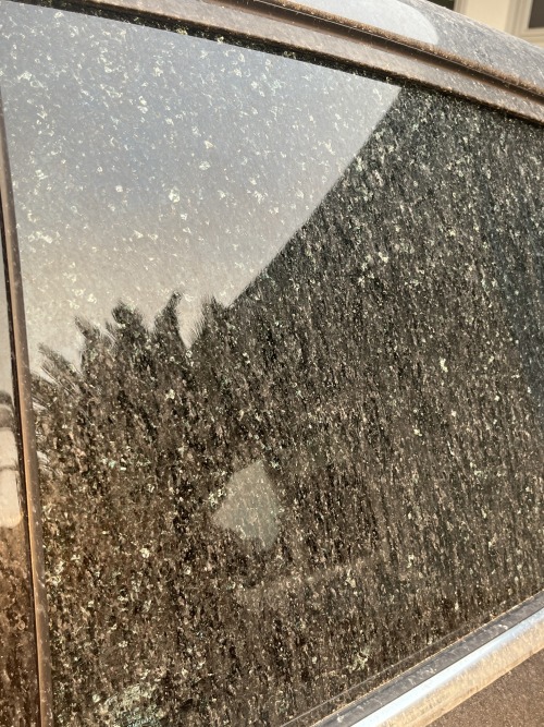 Umm So I Get Another Day Off Of School Bc Of The Fire BUT GUYS MY MOMS FUCKING WINDOW SHATTERED, THERES