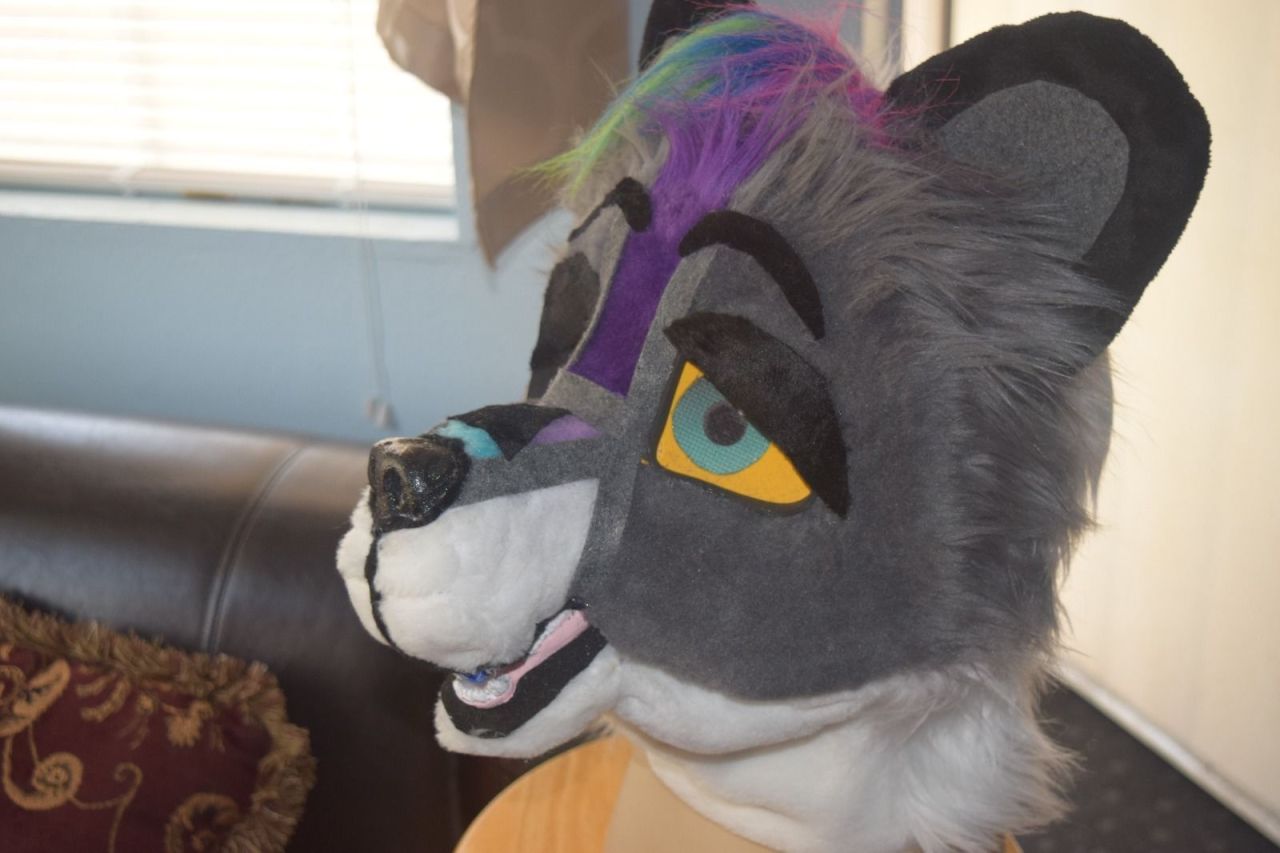 Sexy Fursuit