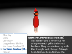 Timeforbirds:  Once You See A Certain Kind Of Bird For The First Time, It’ll Add