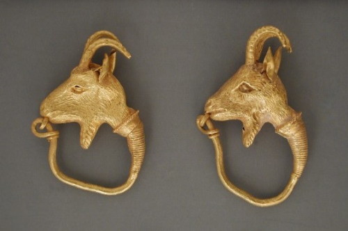 gemma-antiqua:Classical Greek golden earrings of goats’ heads, dated to 500 BCE. Found on Pinterest 
