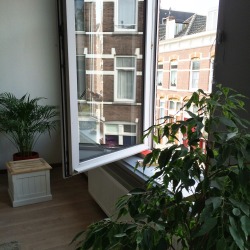 grlwrld:  snottebelhotel:  Jongens mijn nieuwe huis is zo fijn  this is The Dream 