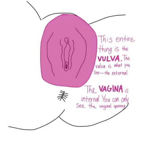 Porn Pics adysphoric:  Hello, I made parts of the vulva