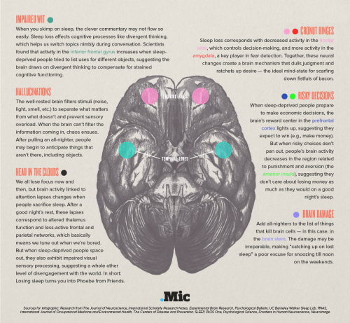 mypsychology:    For more posts like these, go to @mypsychology​    