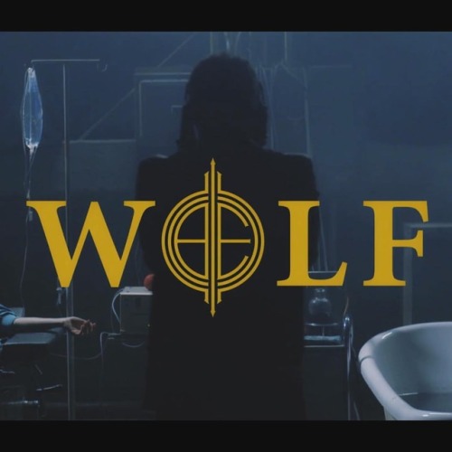 ‪#WOLF is finally here. (Link in bio)‬