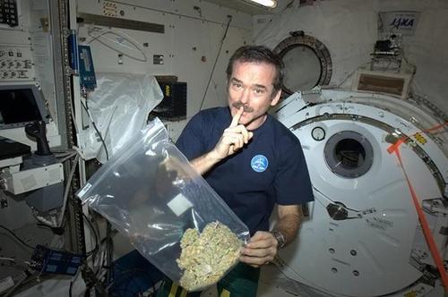 coolguyhat:  In space, there are no anti-drug laws. 