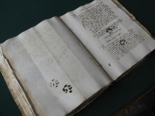 Cat Paw prints on 15th century medieval book  mediaevalmusings.wordpress.com/2013/02/19/