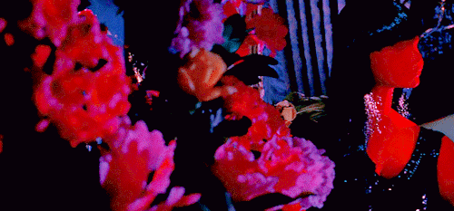 italianhorrors:Blood and Black Lace (1964) dir. Mario Bava