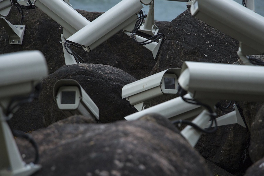 itscolossal:  Artist Installs Flocks of Surveillance Cameras and Satellite Dishes