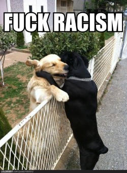 welive2laugh:  Fuck RacismFollow this blog for the best new funny pictures every day