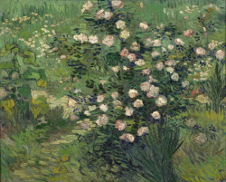 artmastered: Vincent van Gogh, Roses, 1889, oil on canvas, 33 x 41.3 cm, The National Museum of Western Art, Tokyo. 