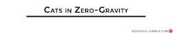 rapther:  Apunte: cuando el gato se deja en gravedad cero, se caga en los muertos del encargado de eso.
