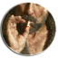 thehammcr