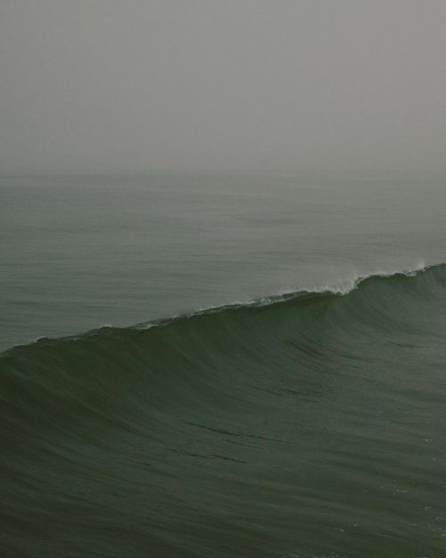 nevver: Swells, Raf Maes