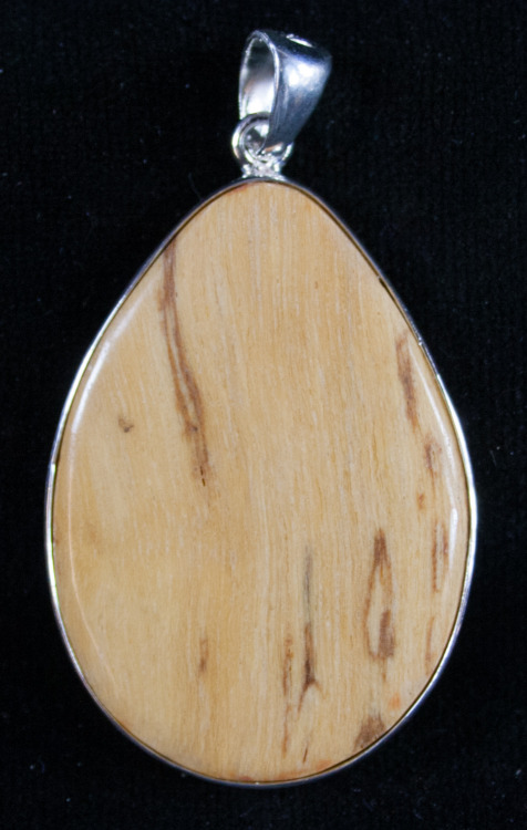 fossilera:A beautiful, petrified wood and sterling silver pendant.  The petrified wood is Mioce