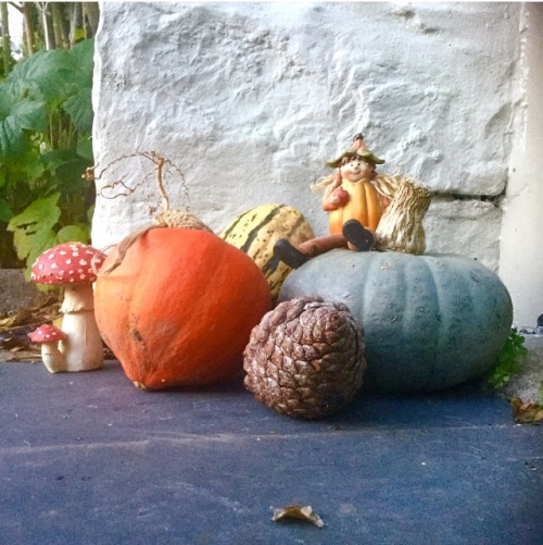 Gourd To See You