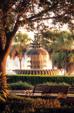 hueandeyephotography:  Pineapple Fountain, Waterfront Park, Charleston, SC © Doug Hickok  All Rights Reserved 