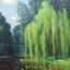 whispertothewillow