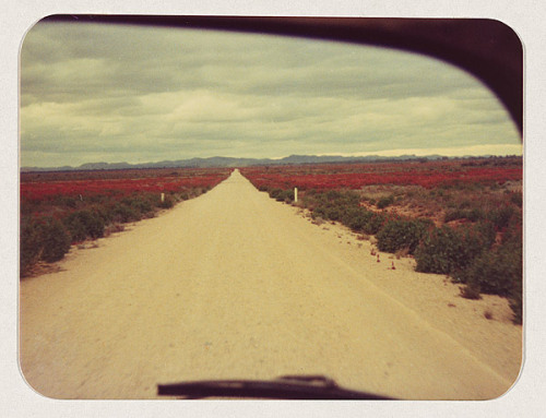 gilgai:Wesley Stacey, The road: Outback to the city 1, 2, 3, 4, 5, 6, and 7, 1973-75. Foli