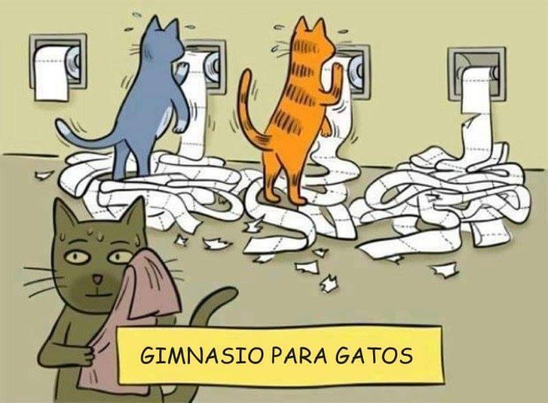 fatum nos iungebit