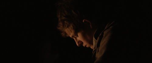 freakin-deakin:The Rider (2017)Dir. Chloé ZhaoCinematography: Joshua James Richards