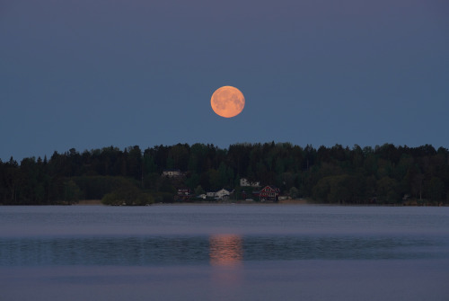 Yellow fullmoon over lake Mälaren.