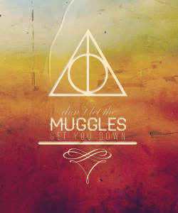 oliviadonohoe5:  Don’t let muggles get