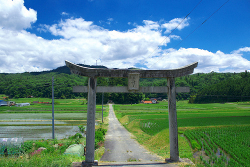 nihon-daisuki: 夏の日の思い出 by 青空bluesky on Flickr. Perfect