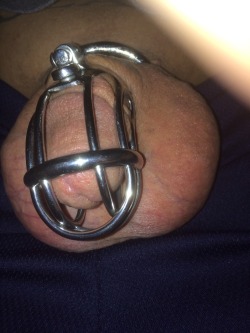 bbcsatisfaction:  I don’t even fill a 2 1/2 inch cage. That’s why mistresss35 prefers BBC 